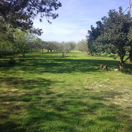 House Moro * פריבלאקה