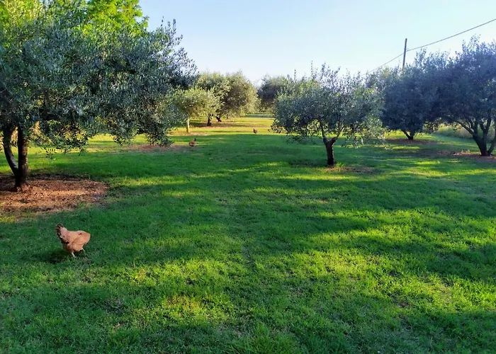 House Moro Дом отдыха