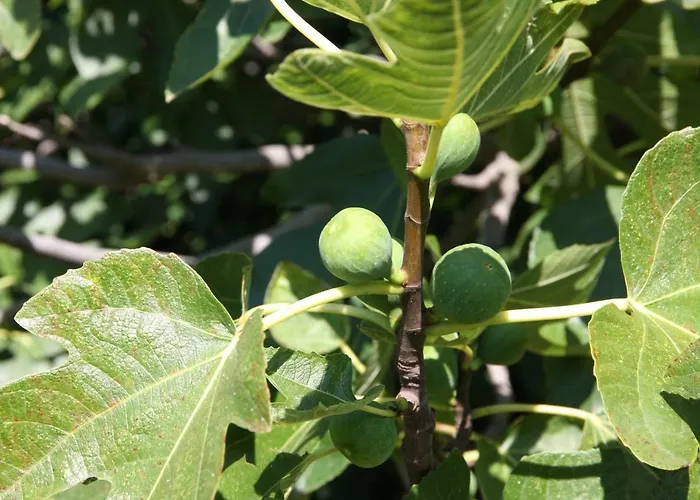 House Moro Дом отдыха *