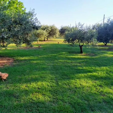 House Moro Holiday home