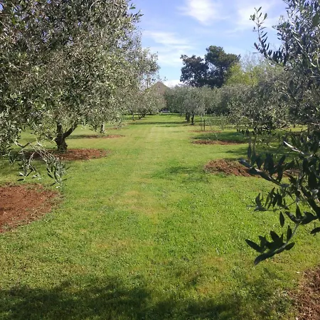 House Moro Holiday home Privlaka (Zadar)