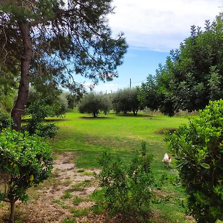 House Moro * Privlaka (Zadar)