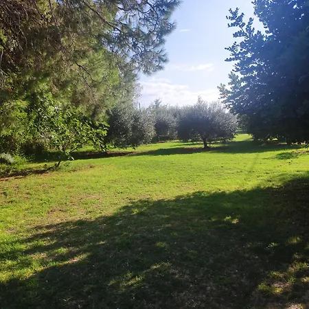 House Moro Nyaraló *