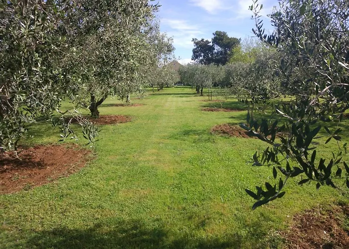 House Moro بيت للعطل بريفلاكا