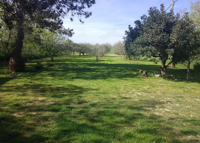 House Moro * بريفلاكا