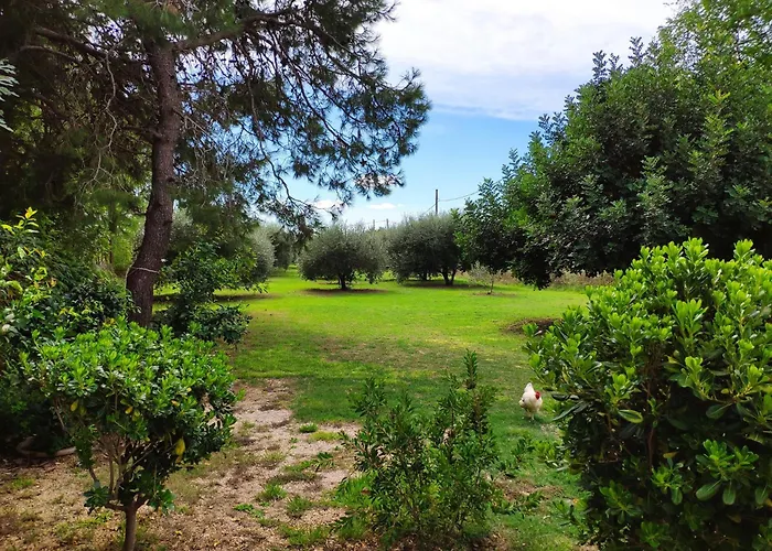 House Moro * بريفلاكا