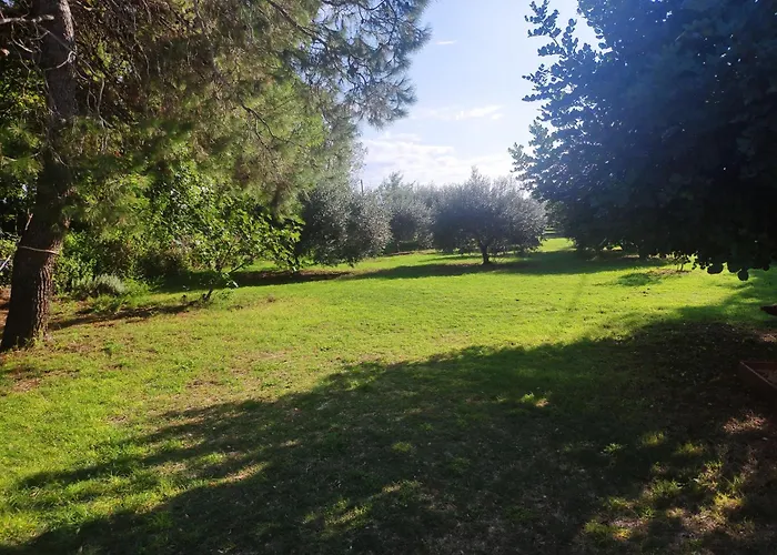 House Moro بيت للعطل *